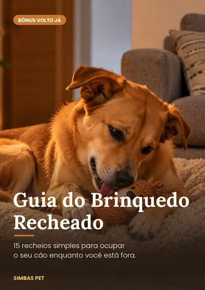 Capa do bônus Guia do Brinquedo Recheado