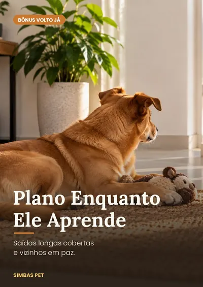 Capa do bônus Plano Enquanto Ele Aprende